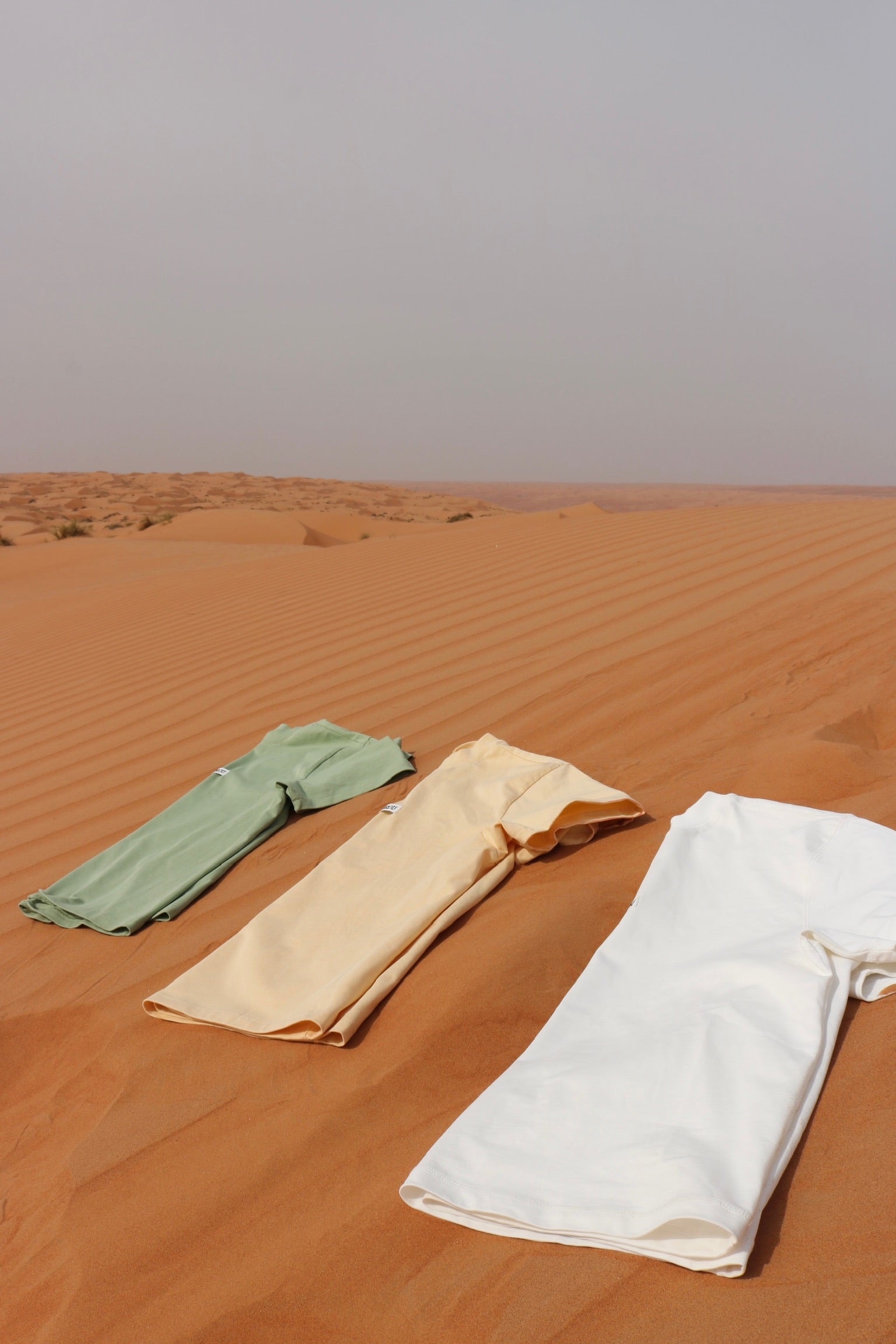 « LE SHIRT » PRE-ORDER